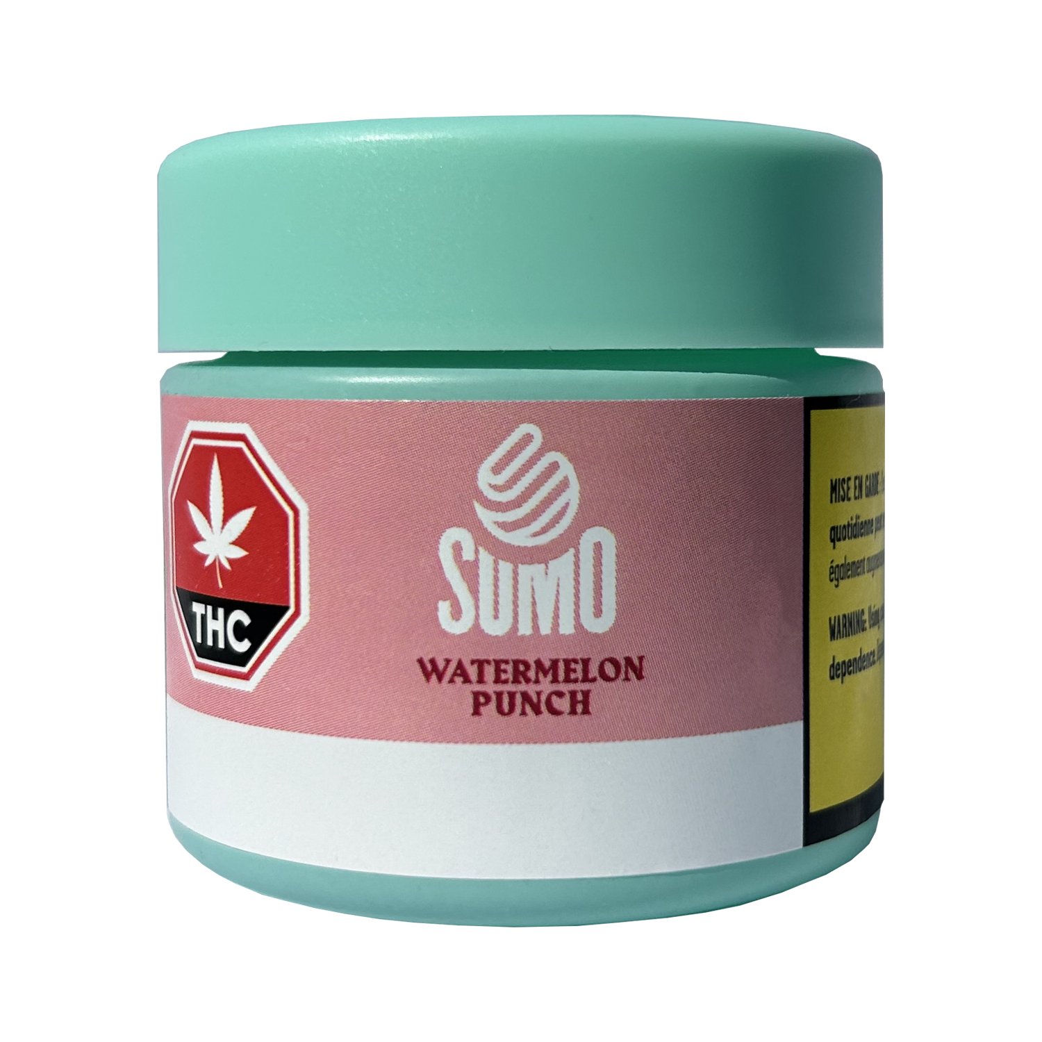 Watermelon Punch
